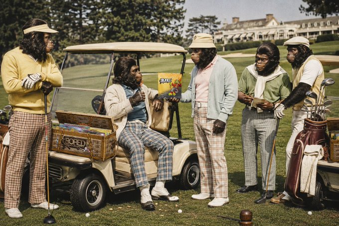 A humorous photograph of chimpanzees dressed in golf attire standing around a golf cart on a green, with one reading a magazine.