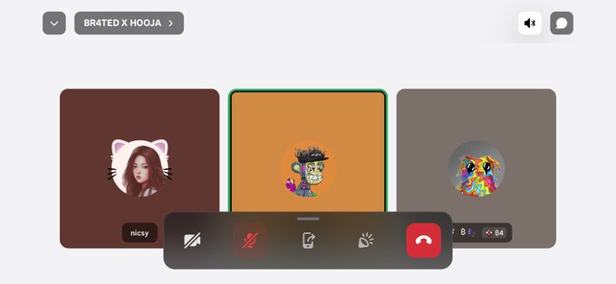 A video call interface between "BR4TED X HOOJA" shows three participants, with the middle tile highlighted in green, an active call toolbar at the bottom, and figures like "nicsy" and "84" visible, illustrating the meeting where the user collaborated with @prollynuthin (@hoojafun) to create a custom 1/1 NFT combining their PFP with Hooja's IP for the upcoming "Hooja x ₿-R4ted" collaboration.