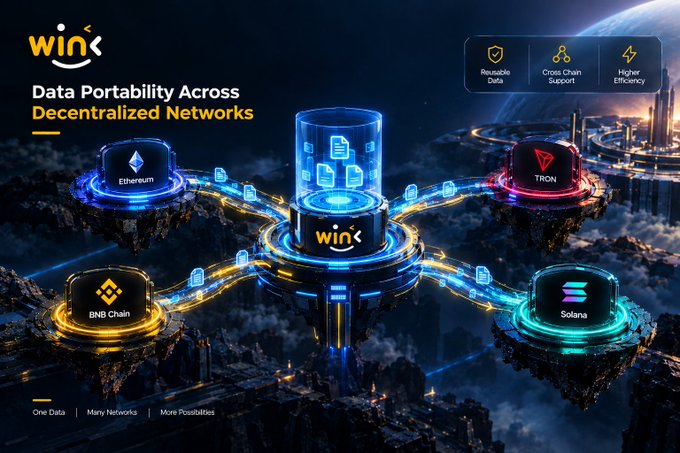 A promotional graphic titled "Data Portability Across Decentralized Networks" showing a central "Wink" platform connected to Ethereum, TRON, BNB Chain, and Solana, with feature icons for "Reusable Data," "Cross Chain Support," and "Higher Efficiency."