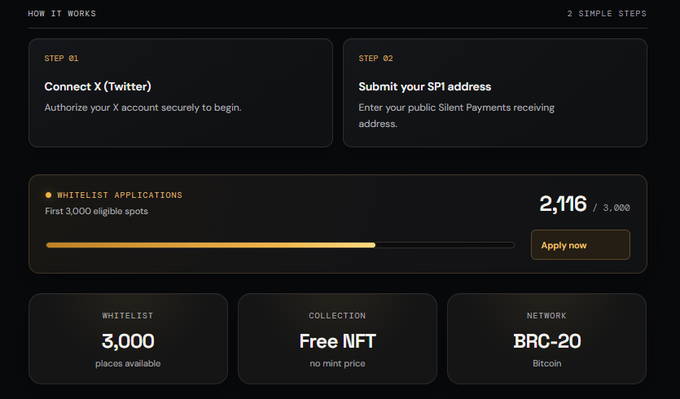 The image displays a "How It Works" page for a Shhhhhcat whitelist application, showing 2,116 of 3,000 spots filled for a Free NFT (BRC-20) collection. The instructions match the TikTok video's guidance to authorize X (formerly Twitter), post a tweet, and submit your SP1 address via shhhhhcat.fun to mint at no mint price.