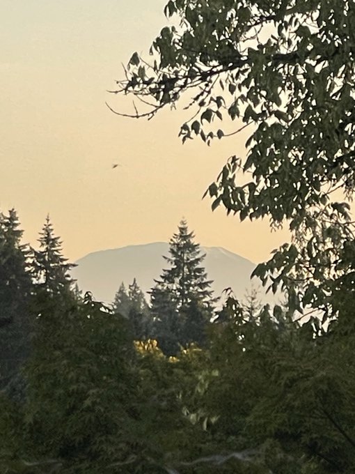 A scenic view of a mountain peak framed by silhouetted trees against a hazy, pale sky at dusk or dawn.