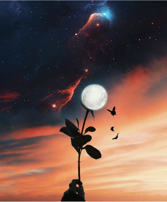 A silhouette of a rose with the moon as its bloom stands against a breathtaking cosmic backdrop, blending a vibrant orange sunset sky with a starry nebula above, while a few small birds fly nearby.