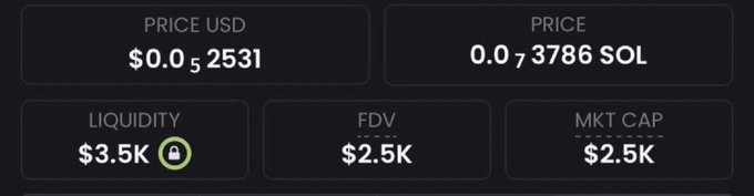 This image displays cryptocurrency token metrics showing a token priced at $0.052531 USD or 0.073786 SOL, with only $3.5K in liquidity (locked), and a fully diluted valuation and market cap of just $2.5K—suggesting the poster shared this obscure micro-cap token with extremely low liquidity as evidence for their claim of finding "the next 1000x."