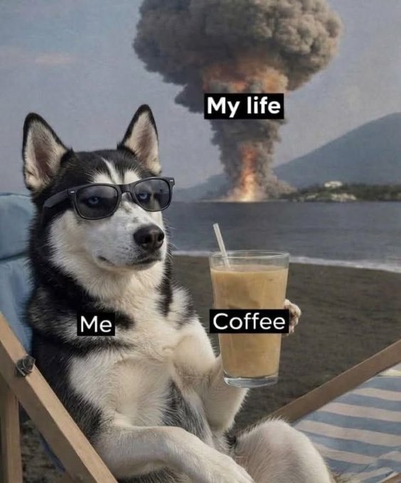 A meme showing a husky wearing sunglasses holding an iced coffee labeled 'Coffee' with an explosion labeled 'My life' in the background and the dog labeled 'Me'.