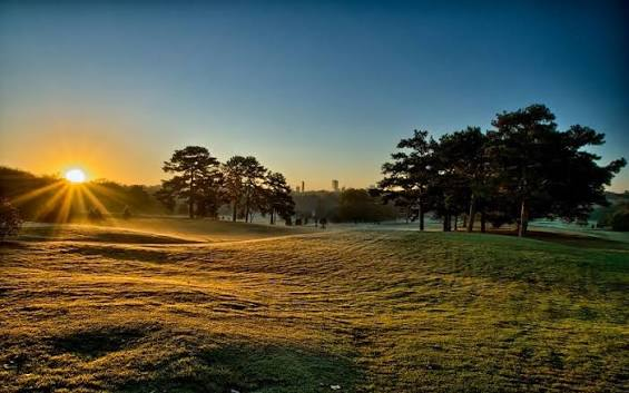 A misty sunrise breaks over a dew-covered golf course with silhouettes of pine trees and a distant city skyline. The serene early morning scene reflects the post's theme of welcoming a new day with fresh energy and motivation to stay active.