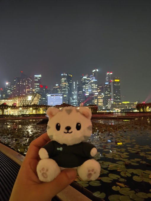A hand holds a small cream-colored plush toy in front of a nighttime city skyline reflecting over water with lily pads.