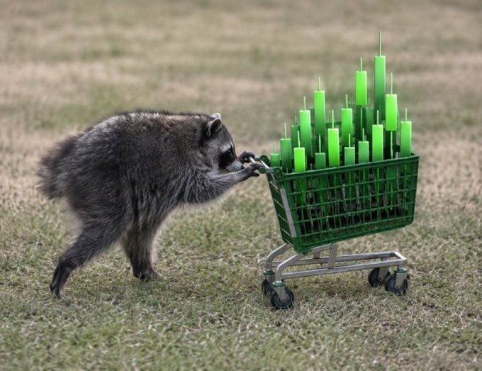 A raccoon pushes a miniature shopping cart filled with green cryptocurrency candlestick chart bars across a grassy field.