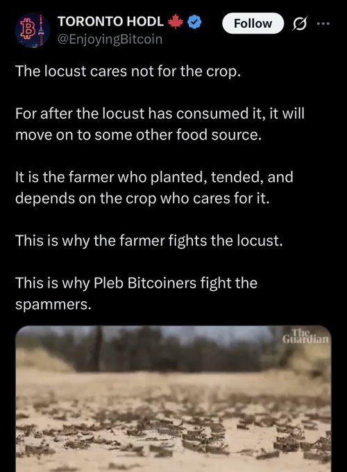 TORONTO HODL (@EnjoyingBitcoin) post about pleb Bitcoiners fighting spammers, comparing them to farmers fighting locusts, with a Guardian photo of locusts.