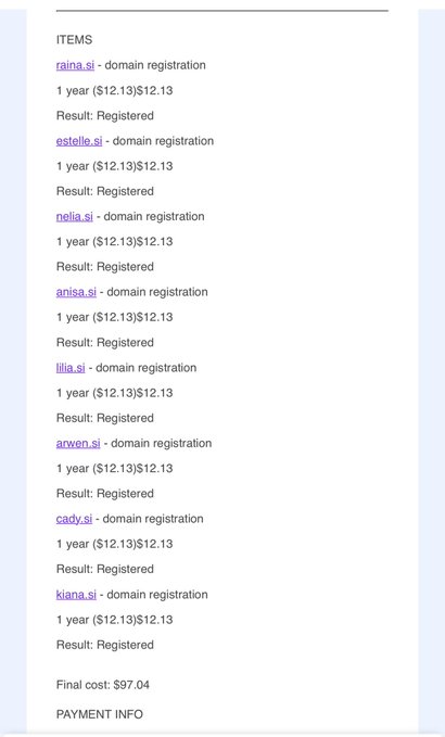 A receipt showing domain registrations for raina.si, estelle.si, pelia.si, anisa.si, ilija.si, arwen.si, cady.si, and kiana.si, with all 'Successfully' and a final cost of $97.04.