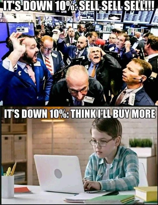 The meme contrasts panicked Wall Street traders shouting "IT'S DOWN 10%: SELL SELL SELL!!!" in a chaotic trading floor with a calm bespectacled boy at a laptop stating "IT'S DOWN 10%: THINK I'LL BUY MORE," illustrating how institutions react with panic-selling to a 10% drop while retail investors see it as a buying opportunity.