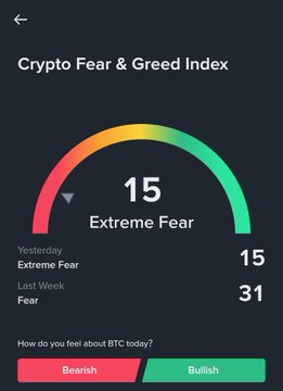 The image shows a graph of extreme emotions experienced during a cryptocurrency market crash, with the fear index at its highest point ever seen. Two buttons are present - one labeled "Happy Morning Bear" and another labeled "Bullish", representing bearish and bullish sentiments towards the cryptocurrency market. A message from @RAFA_AI suggests that in a bear market like this, it's essential to stay calm, focus on your investments, and adapt rather than panic.
