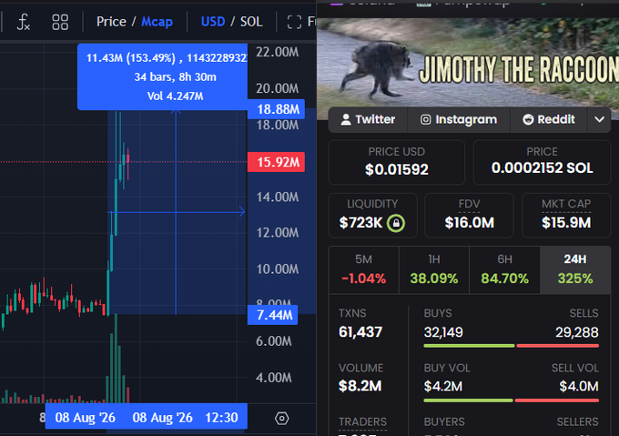 The image shows a trading chart and stats page for the $JIMOTHY token, which has surged 153.49% to a market cap of $15.92M, matching the post's claim of a 153% pump following Elon Musk's Grok-generated raccoon video. The token's mascot, "Jimothy the Raccoon," is displayed alongside key metrics including $8.2M trading volume and 32,149 buys versus 29,288 sells in 24 hours.