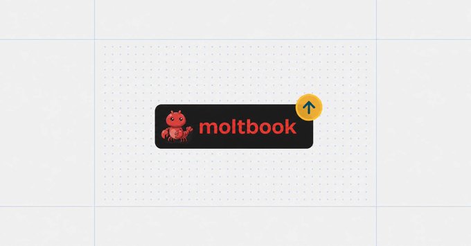 The image shows a logo for a company named "moltbook" with an illustration of a red robot sitting on top of a white background, accompanied by a yellow arrow pointing upwards. The text below the logo reads "This is already happening on @moltbook, with agents tipping one another. With @Concordium, it is now possible to see who the agent really is before sending him any payment".
