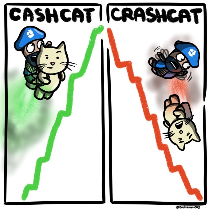 A two-panel comic titled "CASHCAT" and "CRASHCAT" shows a character riding a cat up a green ascending line on the left, then plummeting down a red descending line with the cat falling on the right. The image humorously depicts the volatile nature of the $CrashCatToken (0xcf8b02128d2803b3df114e277094cc1096294b5c), playfully illustrating the unexpected ups and downs of boldly shilling this token.