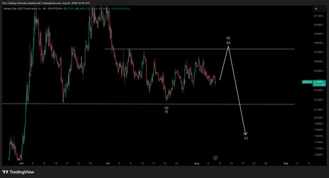 A TradingView chart of USDT.D Dominance shows a potential rejection at the 8.80% resistance level, with white arrows indicating a projected move down toward 7.87% support, aligning with the post's call for short-term crypto downside followed by major pumps.