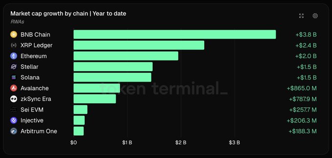 Bar chart titled 'Market cap growth by chain | Year to date' showing RWAs, with BNB Chain leading at +$3.8 B, followed by XRP Ledger (+$2.4 B), Ethereum (+$2.0 B), Stellar (+$1.5 B), Solana (+$1.5 B), Avalanche (+$865.0 M), zkSync Era (+$787.9 M), Sei EVM (+$257.7 M), Injective (+$206.3 M), and Arbitrum One (+$188.3 M).