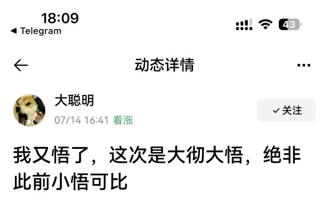 A screenshot from Telegram's "Dynamic Details" page shows a post by user "大聪明" (dated 07/14 16:41, marked 看涨/Bullish) that reads: "我又悟了，这次是大彻大悟，绝非此前小悟可比" (roughly: "I've had another epiphany—this time it's a complete awakening, incomparable to my previous minor ones"). The bombastic, pseudo-zen declaration contrasts humorously with the post's context as a crypto market prediction, reinforcing the joke about the commenter's self-proclaimed "depth" of insight.