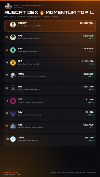 A Ruicat DEX Momentum 50 leaderboard dated Sep. 5, 2026 ranks RUECAT first at $0.00007224, followed by APT, KAS, ZEC, PONS, SOL, DOT, RAY, ARB, and DASH, with prices and percentage changes displayed.