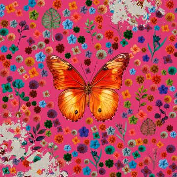 A vibrant artwork features an orange butterfly in the center surrounded by colorful flowers on a pink background.