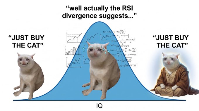The image is a bell curve meme showing three cats positioned along an IQ spectrum: a confused cat on the left and a Jedi-like cat on the right both saying "JUST BUY THE CAT," while a sweating, mathematically-burdened cat at the peak says "well actually the RSI divergence suggests..."—poking fun at overcomplicating simple memecoin plays like $CASHCAT with technical analysis.