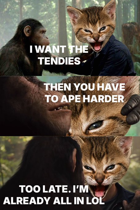 A three-panel meme featuring a chimpanzee and a kitten with a human-like face, with captions reading 'I WANT THE TENDIES', 'THEN YOU HAVE TO APE HARDER', and 'TOO LATE. I'M ALREADY ALL IN LOL'.