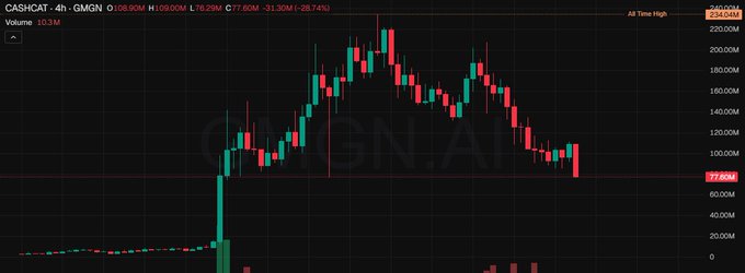 A 4-hour candlestick chart shows CASHCAT (CASHCAT-4h-GMGN) with massive volatility, peaking at an all-time high of 204.20M before crashing 28.74% to 77.60M on heavy 10.3M volume. The chart's wild spike-and-collapse pattern visually reinforces the post's concern about protecting meme coins on the GMGN network, illustrating the extreme price swings the CashCat token has experienced.