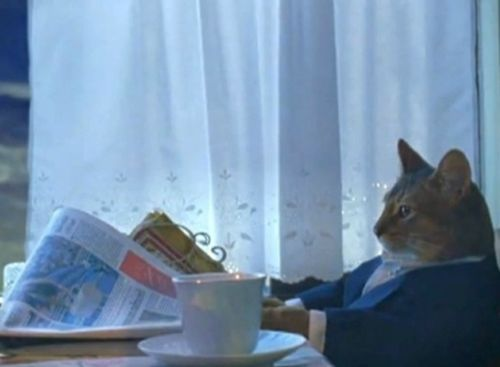 iced coffee and newspaper rest on a table, with a cat wearing a blue suit seated nearby.