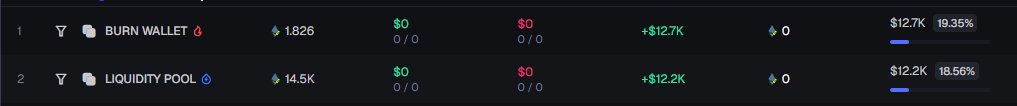 A dark cryptocurrency list shows “BURN WALLET” and “LIQUIDITY POOL,” each with $0 in and $0 out, a roughly 19% fee, and listed balances of $12.7K and $12.2K.