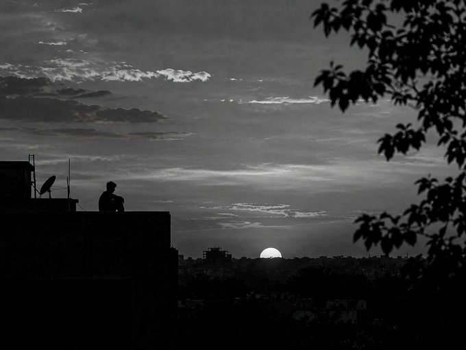A black and white silhouette photograph of a person sitting on a rooftop at sunset, framed by tree branches on the right with a city skyline visible in the distance.