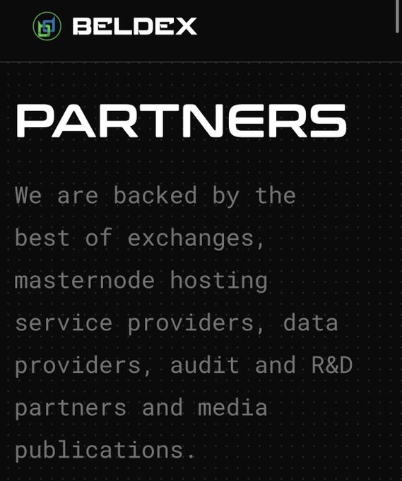 A dark-themed webpage section titled 'PARTNERS' for 'BELDEX' stating they are backed by exchanges, masternode hosting service providers, data providers, audit and R&D partners, and media publications.