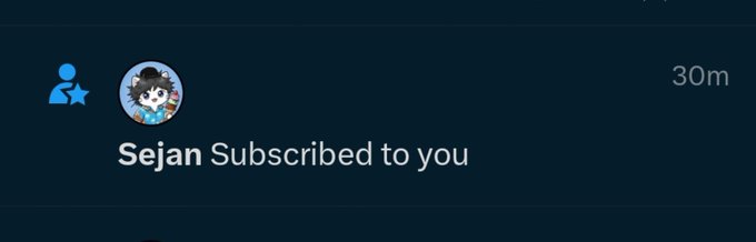 A notification shows that 'Sejan Subscribed to you' on YouTube, with a blue star icon and a timestamp of '30m'.