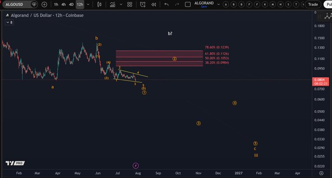 A 12-hour candlestick chart of Algorand (ALGO/USD) on Coinbase showing Elliott Wave analysis with Fibonacci retracement levels (38.20%, 50.00%, 61.80%, 78.60%) and projected wave counts extending into 2027.