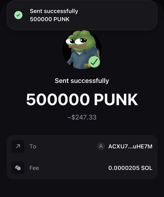 A successful transaction confirmation showing 500,000 PUNK (~$247.33) sent to address ACXU7...uHE7M with a fee of 0.0000205 SOL, reinforcing the "The show must go on $PUNK" message by demonstrating continued on-chain activity.