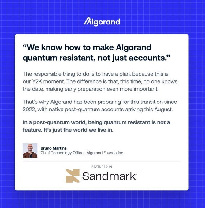 This image features a quote from Algorand's Chief Technology Officer, Bruno Martins, stating, "We know how to make Algorand quantum resistant, not just accounts," and noting that native post-quantum accounts are arriving in August after years of preparation since 2022.