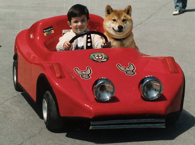 A young boy and a Shiba Inu dog sit together in a red toy car with decorative bird emblems on the hood, with the caption "GKITSU Wen rari?" (a playful misspelling of "Got Kitten? When rare?") humorously suggesting the dog is a rare collectible. A small sticker reading "ADLER" is visible on the car's windshield, and the scene appears to be a staged photo on pavement.