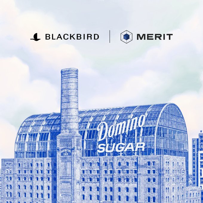 A blue-toned architectural illustration of the Domino Sugar factory building, featuring logos for 'BLACKBIRD' and 'MERIT' at the top and the 'Domino Sugar' name displayed across the structure.