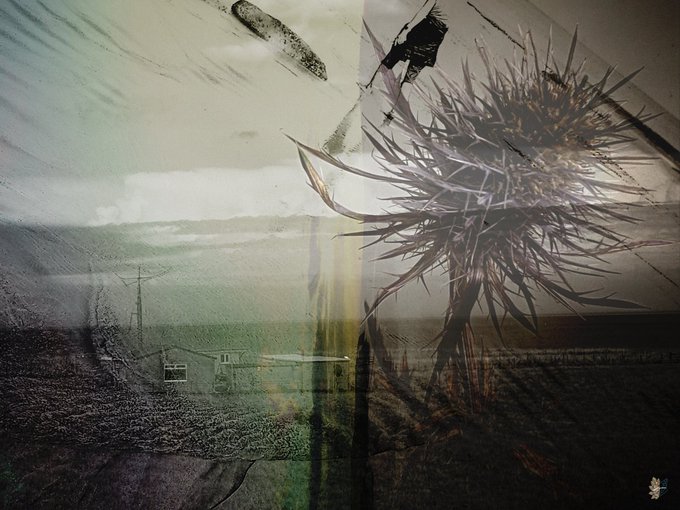 An abstract, double-exposure style composition blending a landscape with a large, spiky thistle-like flower, creating a textured, atmospheric image.