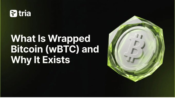 The image features a white Bitcoin coin, which is the main focus of the post. The text above the coin reads "What is wrapped (WBTC) and why does it exist?". Below the coin, there's some text explaining that WBTC exists because native BTC cannot be used as perp margins in Aave or posted in a liquidity pool. The image also includes an illustration of the Bitcoin coin with a green gemstone on top to emphasize its uniqueness.