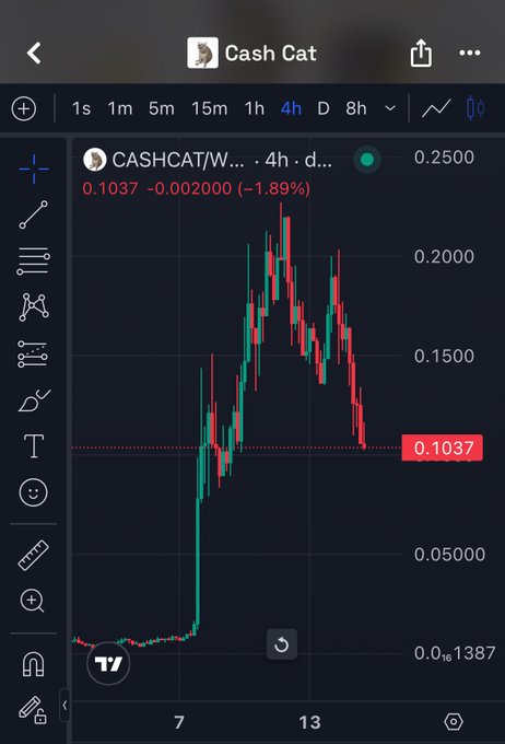 A TradingView chart of "Cash Cat" (CASHCAT/W...) on a 4-hour timeframe shows a dramatic price surge from approximately $0.01 to a peak near $0.25 before sharply declining back to $0.1037, representing a 1.89% drop. This volatility pattern illustrates the speculative nature of low-cap meme coins referenced in the post's warning about risky cryptocurrencies potentially causing broader market downturns.