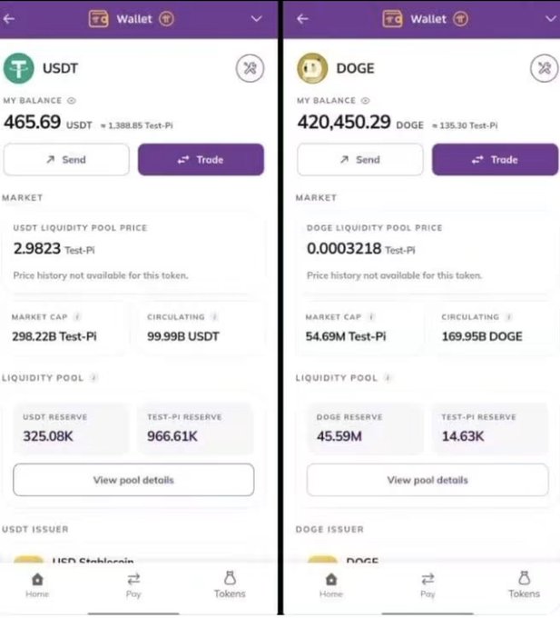 Screenshot of the Pi Network testnet wallet showing USDT balance of 465.69 (≈1,388.85 Test-Pi) and DOGE balance of 420,450.29 (≈135.30 Test-Pi), with their respective liquidity pool prices, market caps, and reserves listed. The image supports the post's claim that both USDT and DOGE have appeared as tradable tokens within Pi's testnet wallet environment.