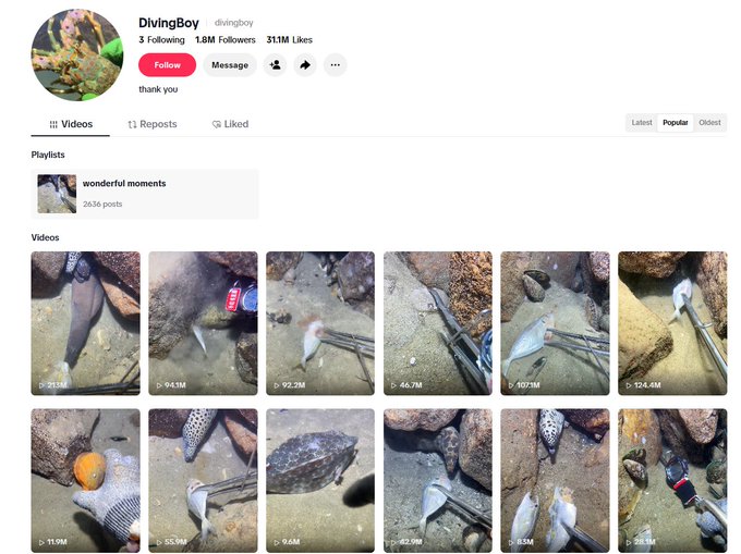 A TikTok profile screenshot for 'DivingBoy' with 1.8M followers and 31.1M likes, showing a grid of underwater fishing videos with high view counts.