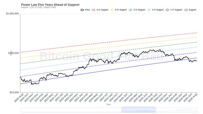 This chart shows Bitcoin's "Power Law Five Years Ahead of Support" with support lines ranging from 1-Year to 5-Year, illustrating its current price relative to historical support levels. The Bitcoin price is currently positioned near its lowest support lines, aligning with the post's claim of extreme undervaluation seen during the 2022 bear market bottom.
