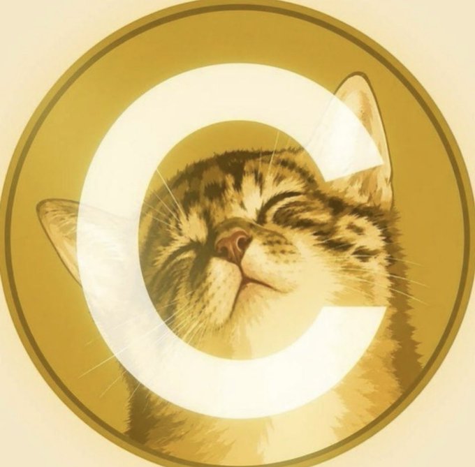 A stylized golden image featuring a smiling cat's face inside a large circular 'C' shape, resembling a corporate or brand logo.
