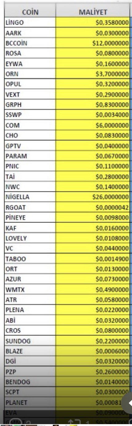 A spreadsheet table in Turkish listing cryptocurrency coin names and their costs ('COİN' and 'MALİYET'), including entries like LINGO at $0.358, AARK at $0.03, and BITCOIN at $12.00.