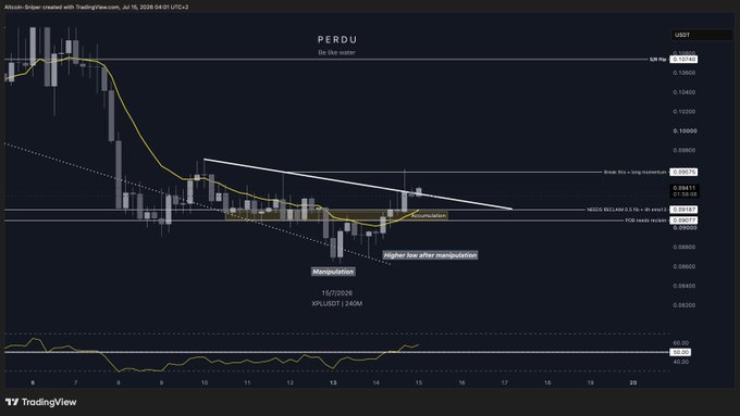 A TradingView chart showing the price action of 'PERDU' token paired with USDT, featuring a descending channel pattern and various technical analysis annotations like 'break this = long invalidation', 'Manipulation', and 'Higher low after manipulation'.