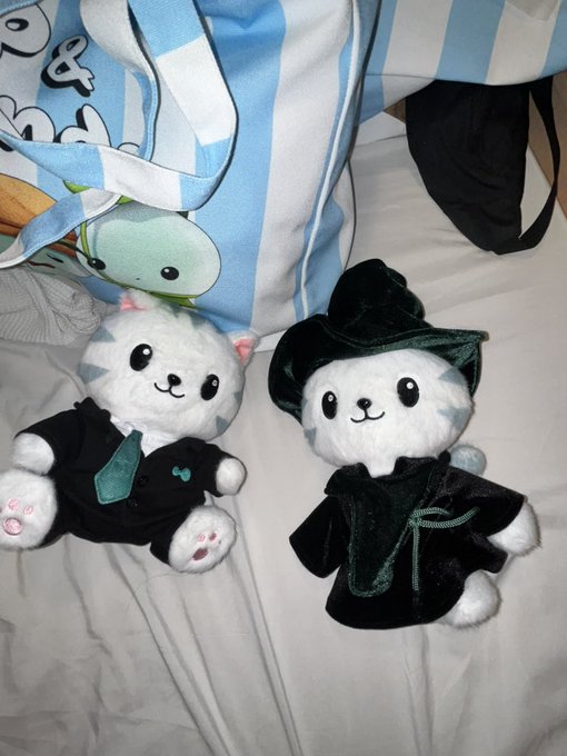 Two small plush toys resembling a panda and a cat dressed in black and dark green witch/wizard costumes sitting on a bed next to striped pillows.