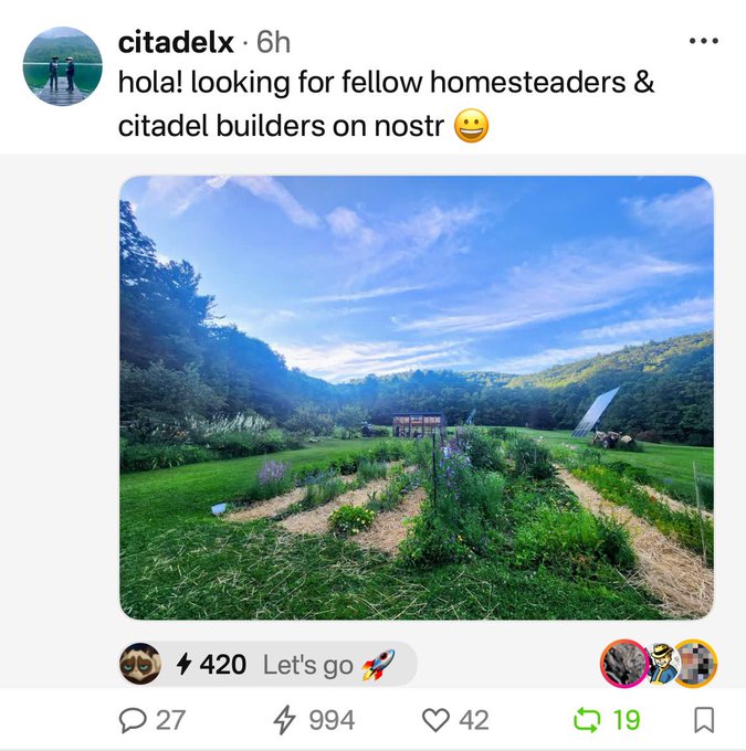 A social media post from 'citadelx' (6h ago) looking for fellow homesteaders and citadel builders, featuring a photo of a lush garden with mountains in the background, showing 27 comments, 994 likes, and 19 reposts.