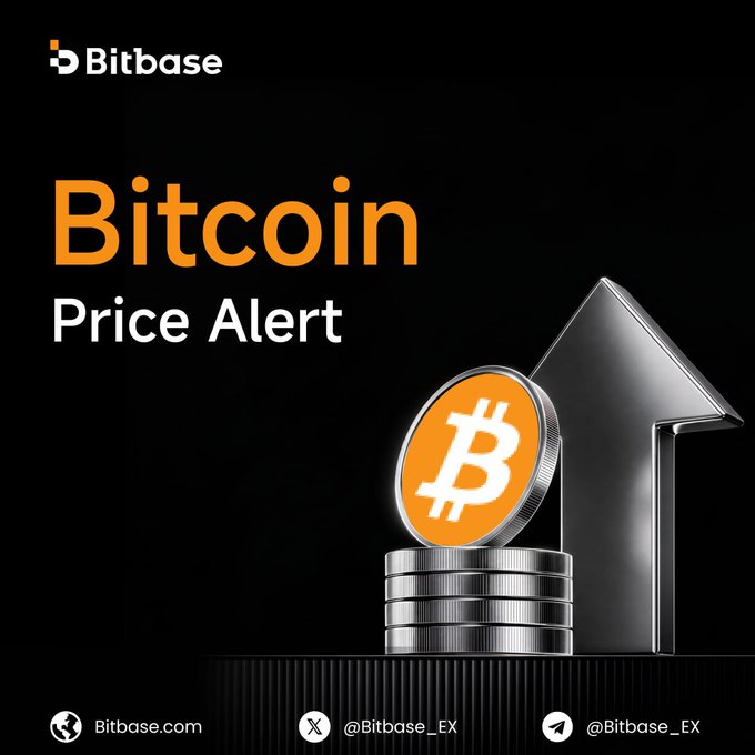 A Bitbase cryptocurrency exchange promotional graphic featuring a Bitcoin coin with an upward arrow and text reading 'Bitcoin Price Alert', with social media handles @Bitbase_EX and website Bitbase.com.