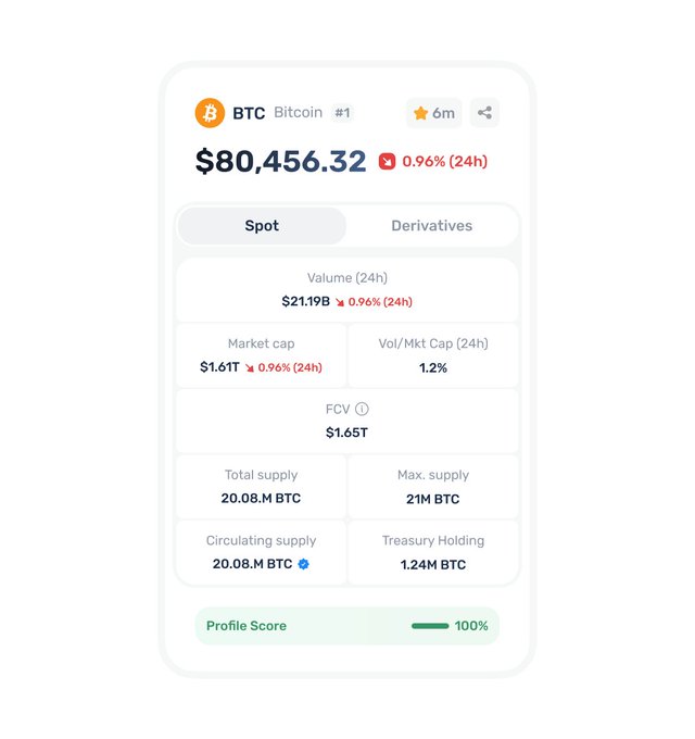 A cryptocurrency dashboard displays Bitcoin (BTC) trading at $80,456.32, down 0.96% over 24 hours, with a market cap of $1.61T and a circulating supply of 20.08M BTC.