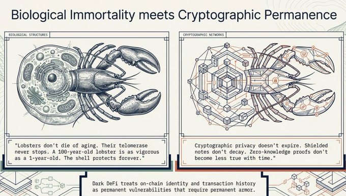 An illustrated infographic titled "Biological Immortality meets Cryptographic Permanence" comparing a lobsters cellular biology to a cryptographic network, with text noting that "Dark DeFi treats on-chain identity and transaction history as permanent vulnerabilities."
